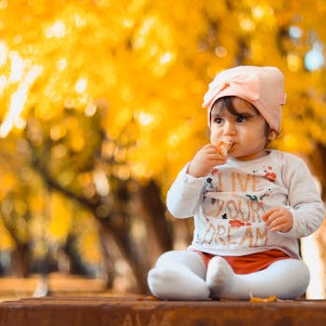 Unlocking the Secret World of Your Baby's Developmental Milestones